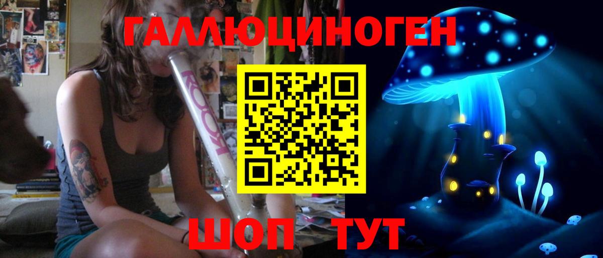 Галлюциногенные грибы Psilocybe Елец